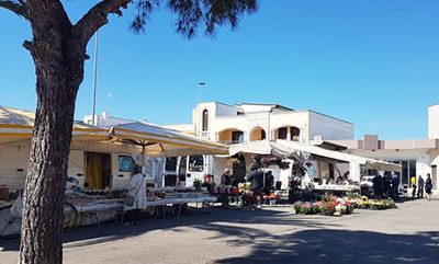 Avviso Rinnovo Aree Pubbliche