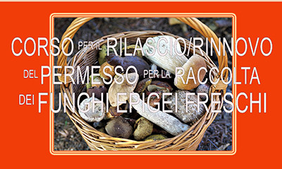 Corso per il rilascio/rinnovo del permesso per la raccolta dei funghi epigei