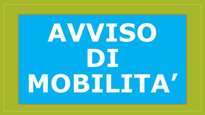 Mobilit&agrave; Volontaria - Istruttore Tecnico Geometra