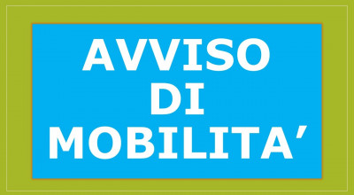 Mobilit&agrave; Volontaria - Istruttore Tecnico Geometra