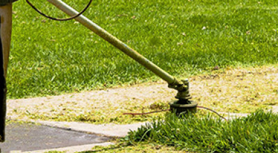 Avviso Pubblico - Gestione e Manutenzione Verde Urbano e Pulizia Urbana